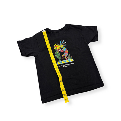 Kokopelli Souvenir T Shirt  (4T)